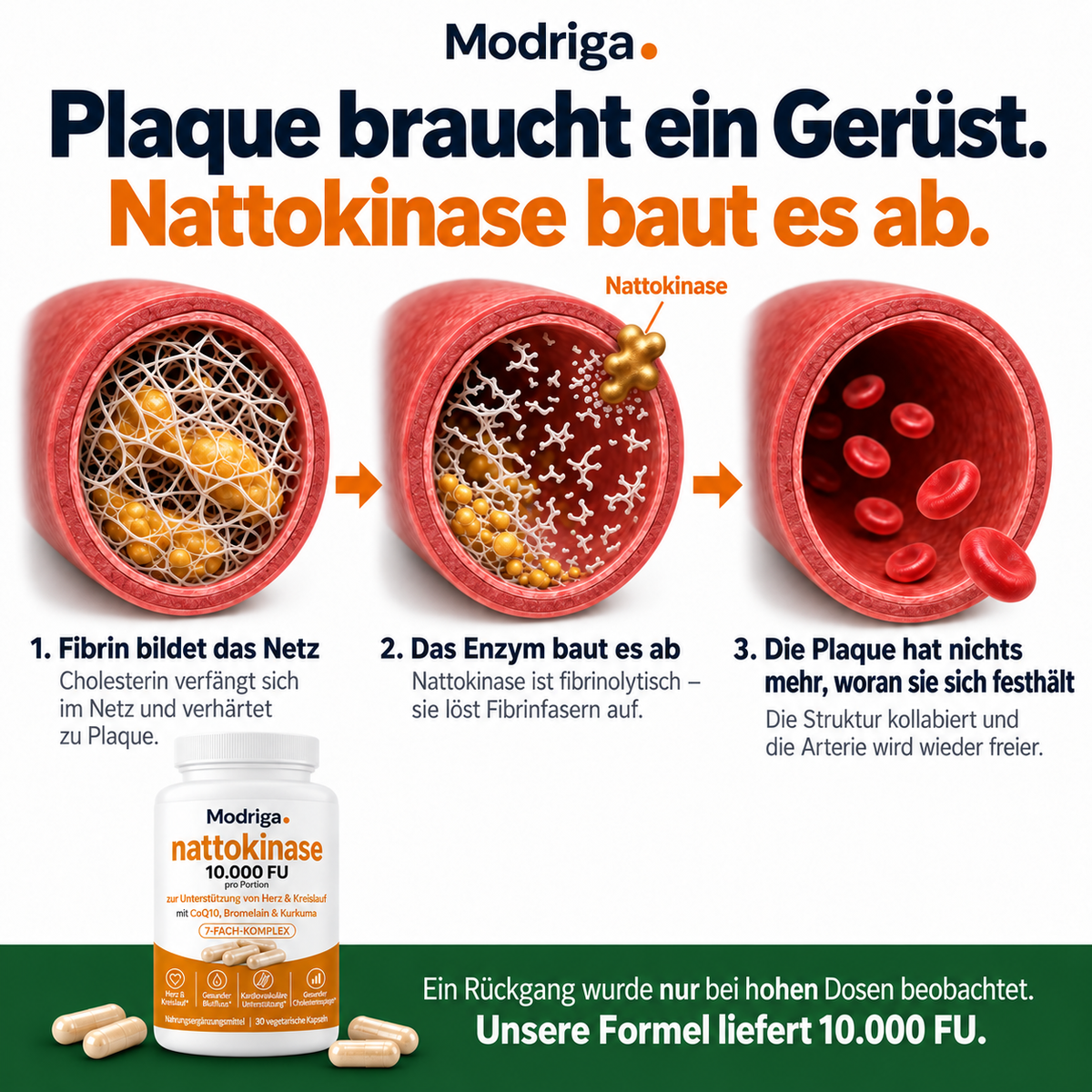 Hochdosierte Nattokinase 10.000 FU – Unterstützung für den Kreislauf