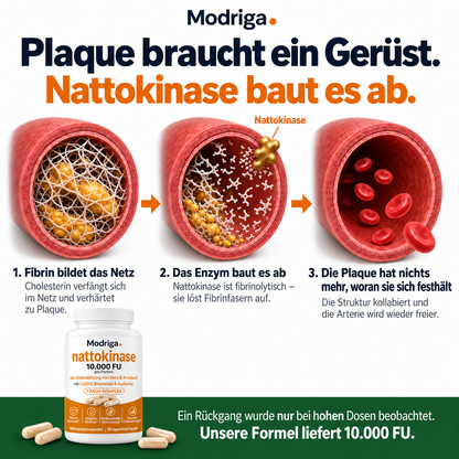 Hochdosierte Nattokinase 10.000 FU – Unterstützung für den Kreislauf