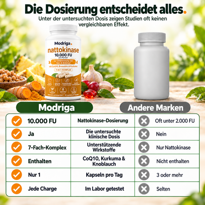 Hochdosierte Nattokinase 10.000 FU – Unterstützung für den Kreislauf